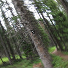 denverdman thumbnail