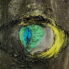 Oliver Beermann thumbnail