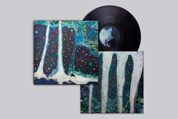 LP, image 1