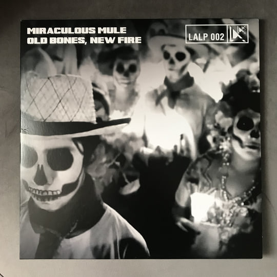 年老いた骨齧り/Old Gnawbone foil AFR】※FOIL※《年老いた骨齧り/Old Gnawbone》【M】 - PROJECT CORE 1号店