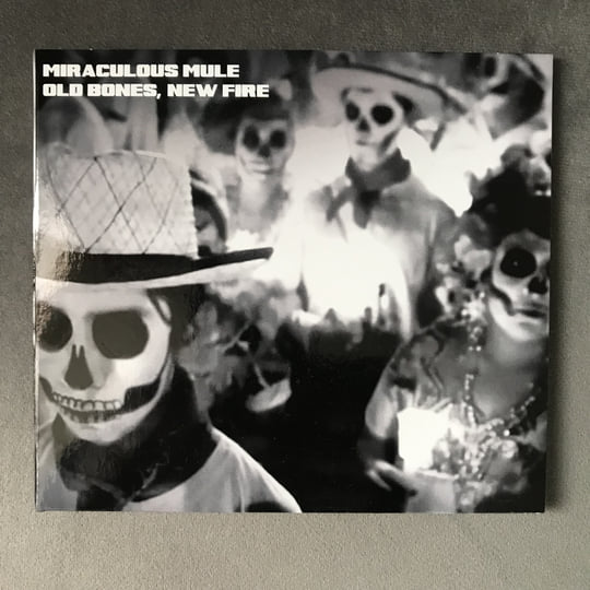 Old Bones, New Fire | Miraculous Mule | Michael J Sheehy
