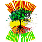 kingroots thumbnail