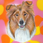 Jed thumbnail