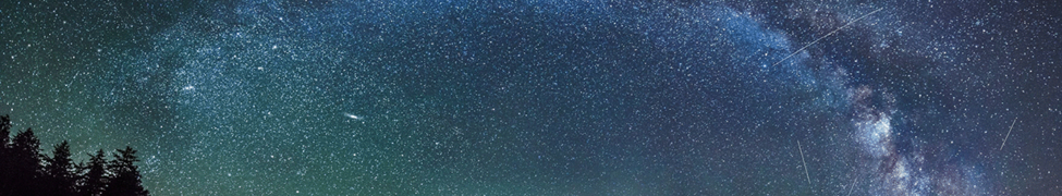 The Days on Earth — Photo