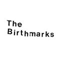 The Birthmarks image