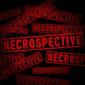 NECROSPECTIVE image