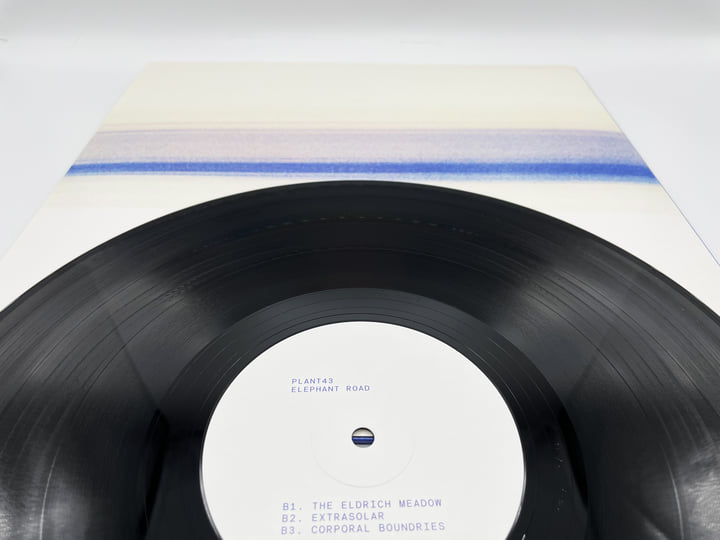 Elephant Road. SEMANTICA 11 | Annie Hall / Plant43 | Semantica Records