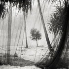 Gillian Owens thumbnail