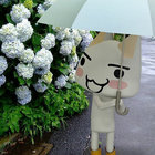 KuroMania thumbnail