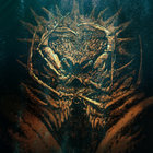 John L / Despair | black midi