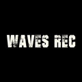 Waves Records image