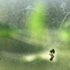 lu777lin thumbnail