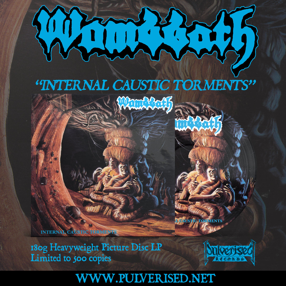 洋楽 WOMBBATH CARBONIZED Wombbath - Internal Caustic Torments Picture Di (Vinyl LP
