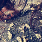 cuyita thumbnail