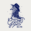 CJAM 99.1FM image