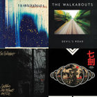 Setting the Woods on Fire | The Walkabouts