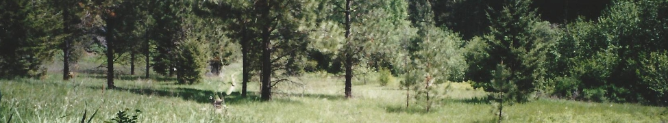 Calamity Cowboy — Photo