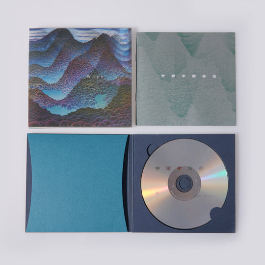 【未開封】Wang wen / 100000 Whys　LP WANG WEN - 