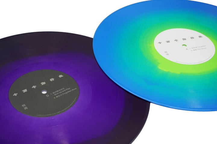 【未開封】Wang wen / 100000 Whys　LP WANG WEN - 