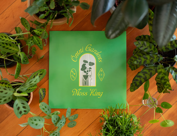 Moss King | Omni Gardens