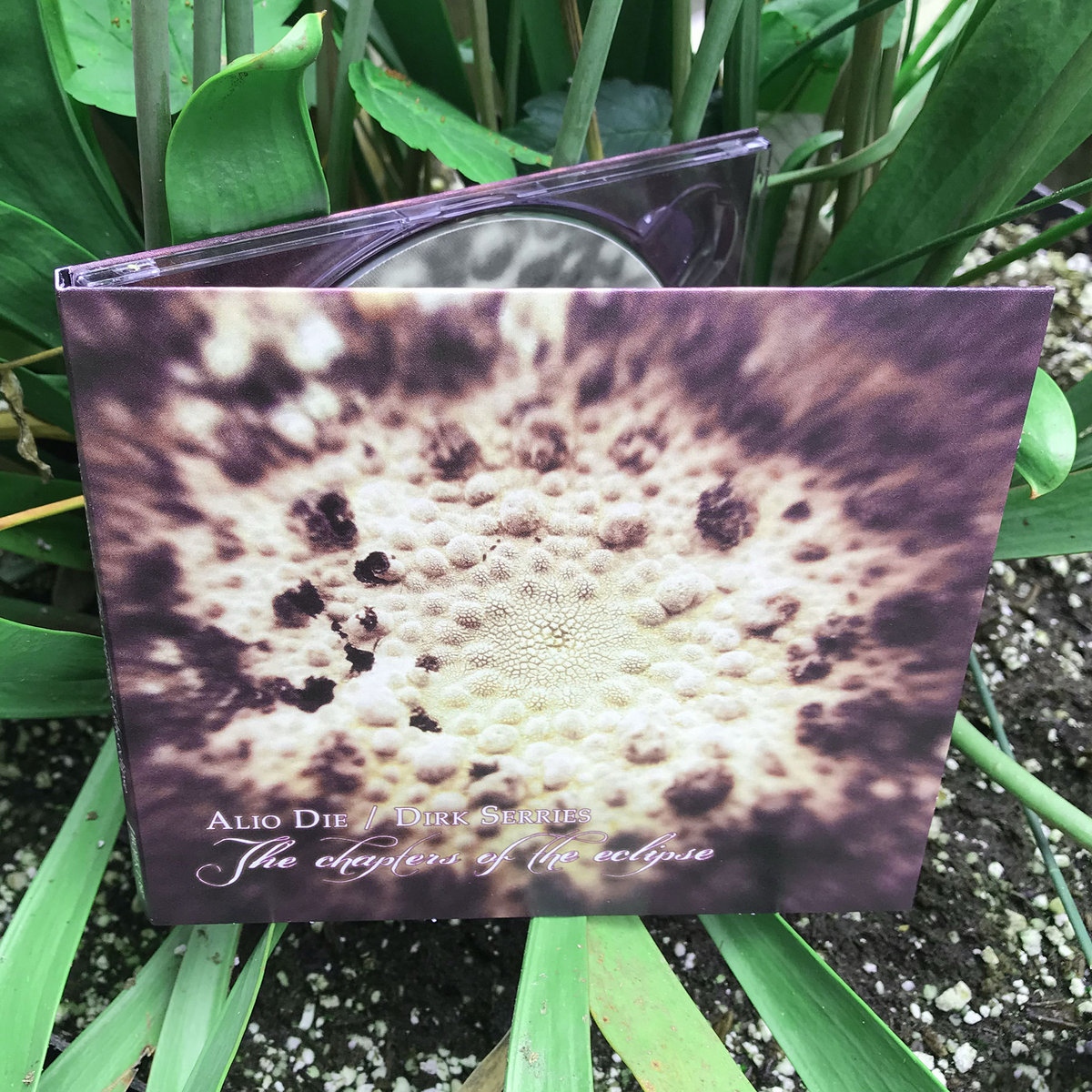 CD $7.99 sale