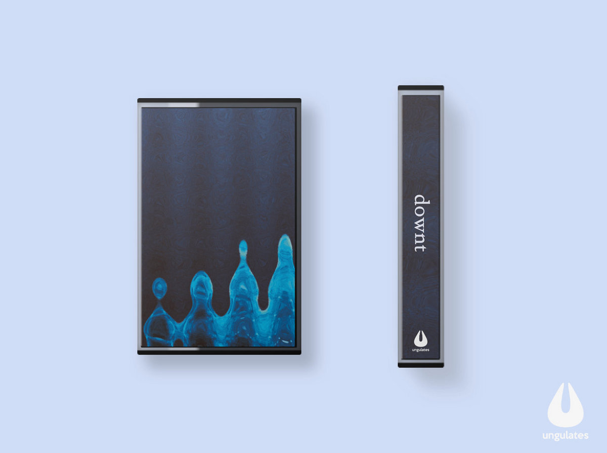 downt 「downt」SAKANA e.p. UNGL-014 downt - 
