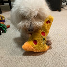 PizzaPoodle thumbnail