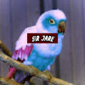 Sir Jare image