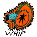 Whip image