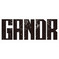 GANDR image