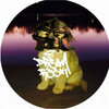 Bohemian Beatnik LP | Bugseed