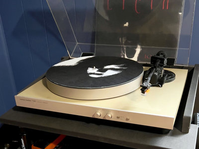 Black Tape For A Blue Girl: The Rope-face turntable LP slipmat main photo