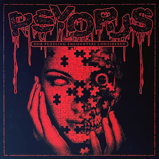 Our Puzzling Encounters Considered | Psyopus | Silent