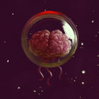 LLL/PP thumbnail