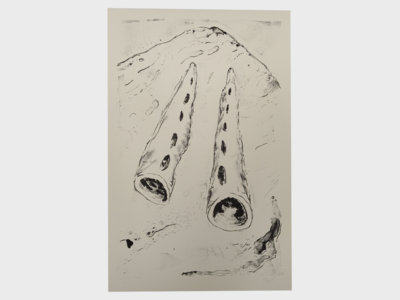'Singing Bones' stone lithograph print (A3) main photo