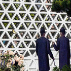 Birds Of Paradise | Nadia Struiwigh