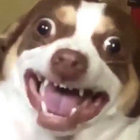 remytimelive thumbnail