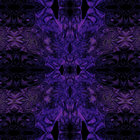 Regulus Music thumbnail