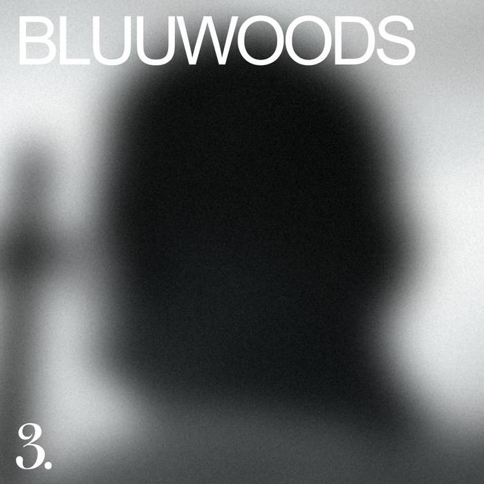 BLUUWOODS cover