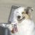 dogwithpepsi thumbnail
