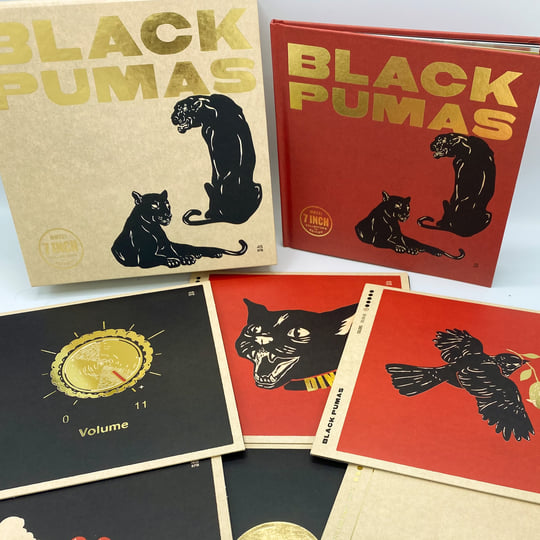 Black Pumas édition Deluxe Vinyle LP CD