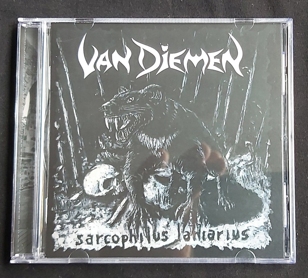 Sarcophilus Laniarius Van Diemen