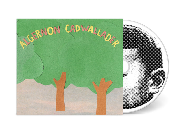 Some Kind of Cadwallader | Algernon Cadwallader