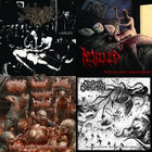 Eradication Of The Subservient | Cesspool of Corruption