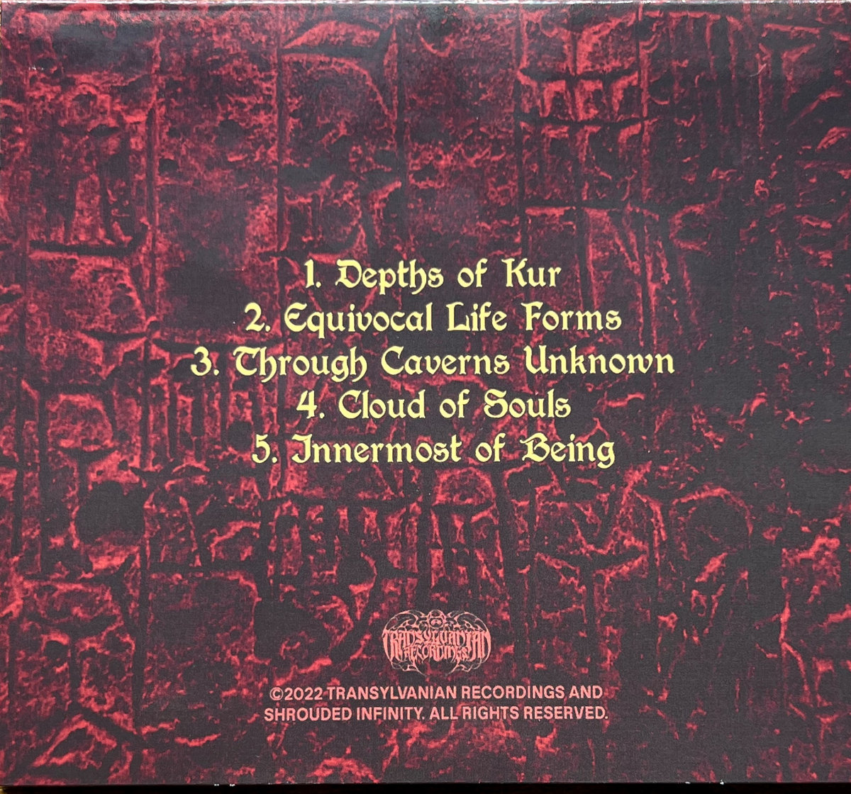 SHROUDED INFINITY - THROUGH CAVERNS UNKNOWN | SHROUDED INFINITY ...