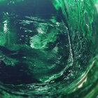 SippingOnNectar thumbnail