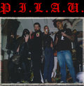 P.I.L.A.U. image
