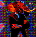 Elephant TalKc image