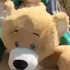 captainbear thumbnail