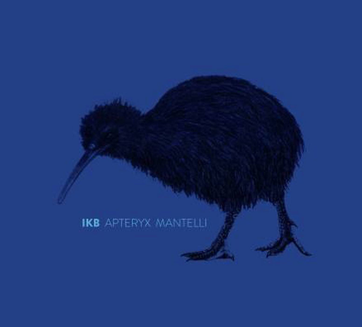 Apteryx mantelli IKB Creative Sources Recordings